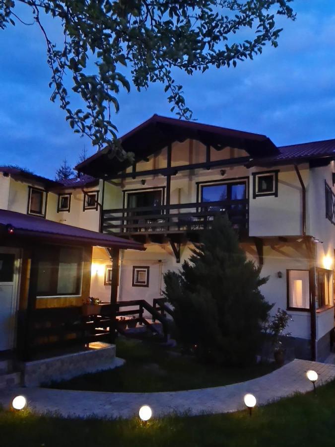 Casa Cu Flori Ξενοδοχείο Buşteni Εξωτερικό φωτογραφία