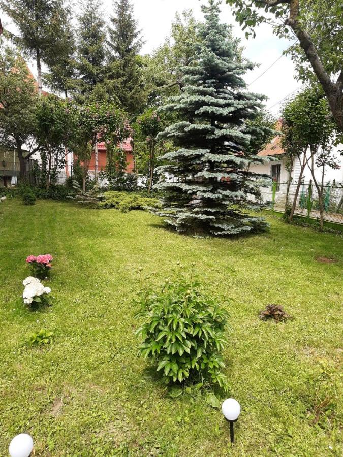 Casa Cu Flori Ξενοδοχείο Buşteni Εξωτερικό φωτογραφία