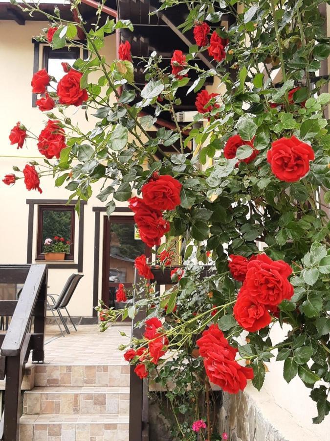 Casa Cu Flori Ξενοδοχείο Buşteni Εξωτερικό φωτογραφία